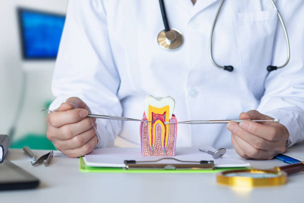 Best Emergency Tooth Extraction in High Bridge, NJ